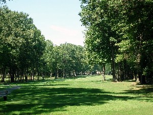 Squaw Creek Golf Course Hole 14