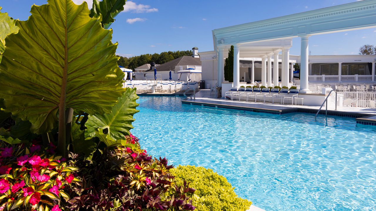 Outdoor_Pool_Plants_2 Outdoor_Pool_Plants_2